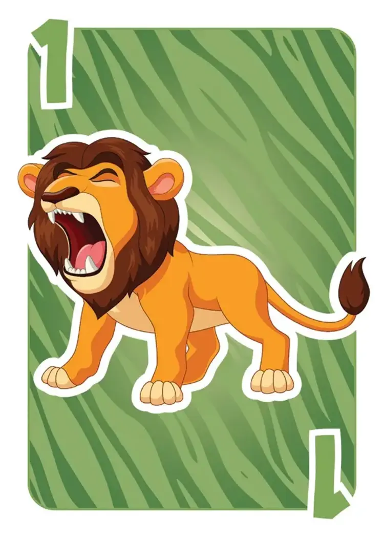 Outset The Wild Card Game