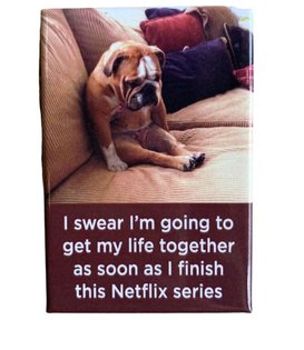 Netflix Series Magnet