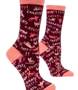 Cats! Socks