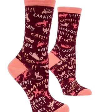 Cats! Socks