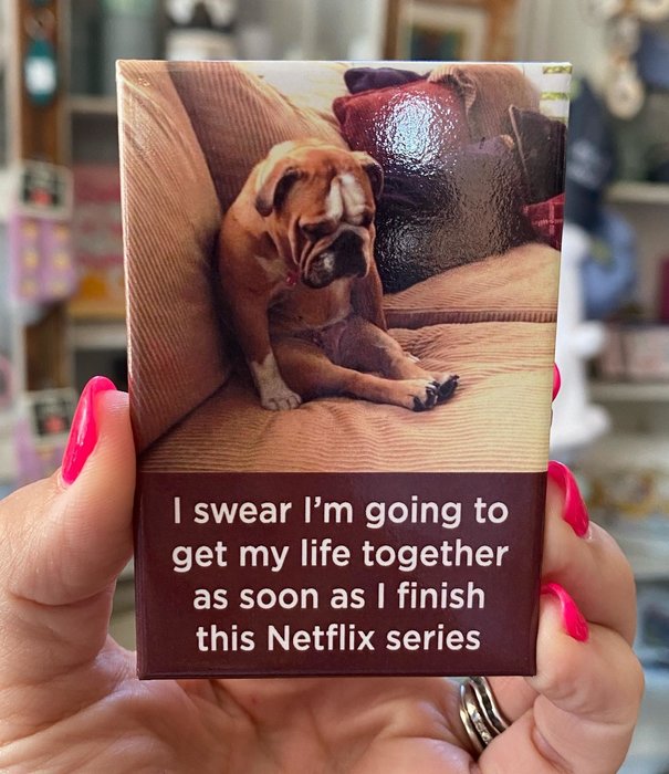 Netflix Series Magnet