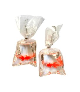 Fair Fish Earrings