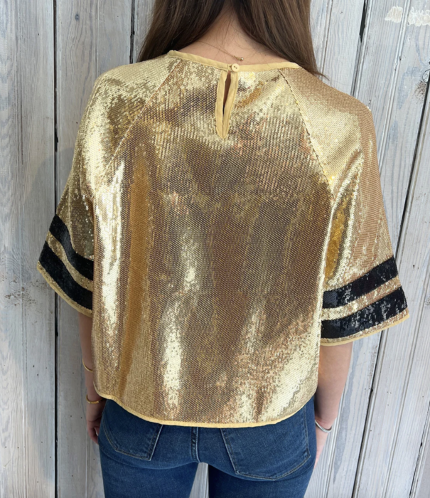 Sequin Stripe Jersey Sleeve Top