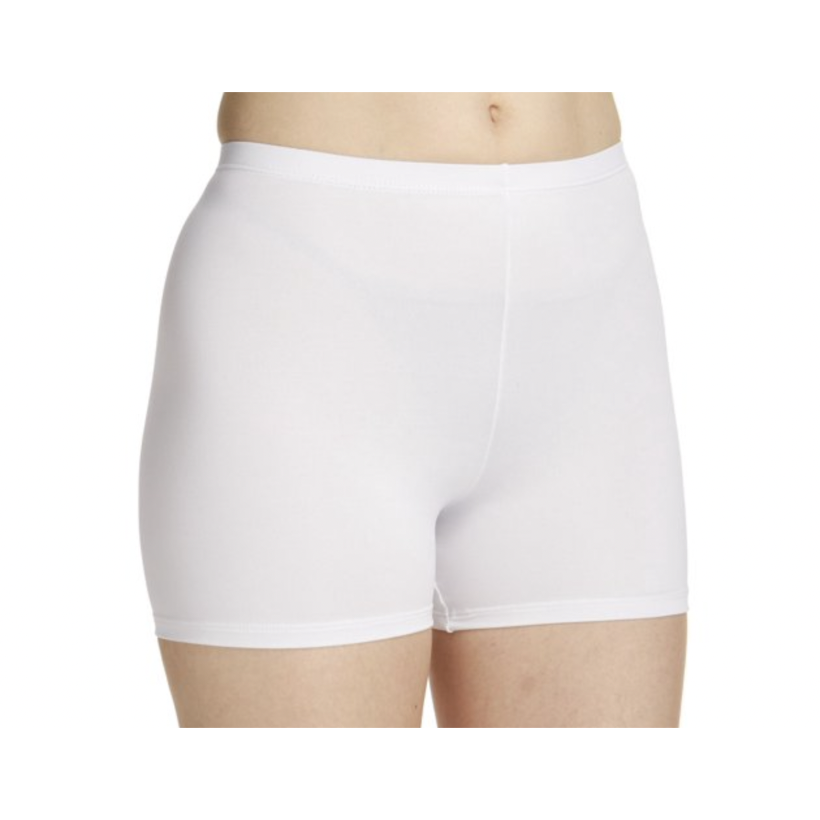 BW205 - Boycut Nylon Brief