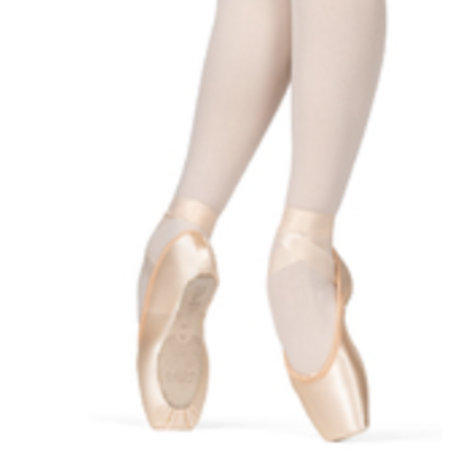 S0120L - Flexus (K2)