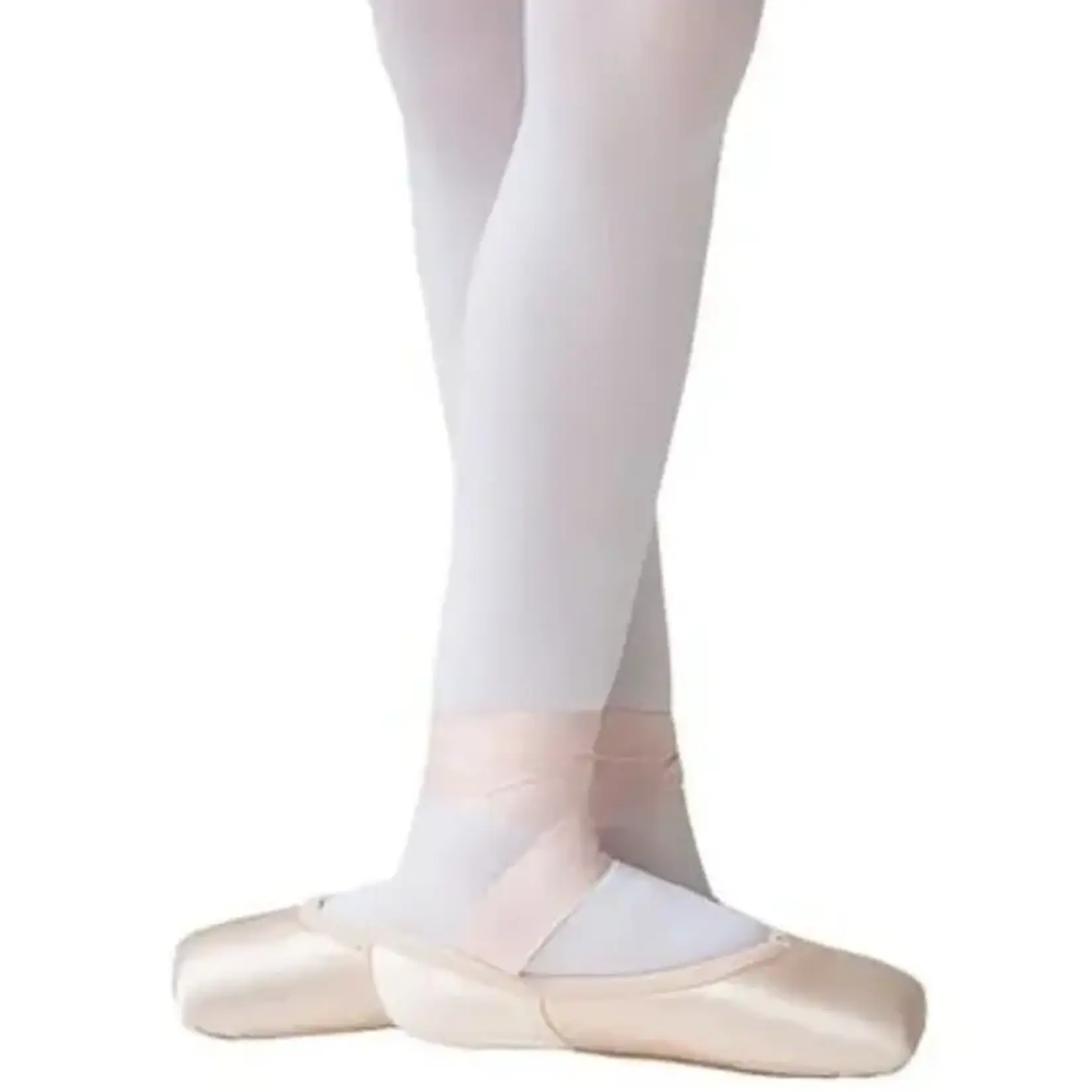 Nikolay Nikolay Exam Elite