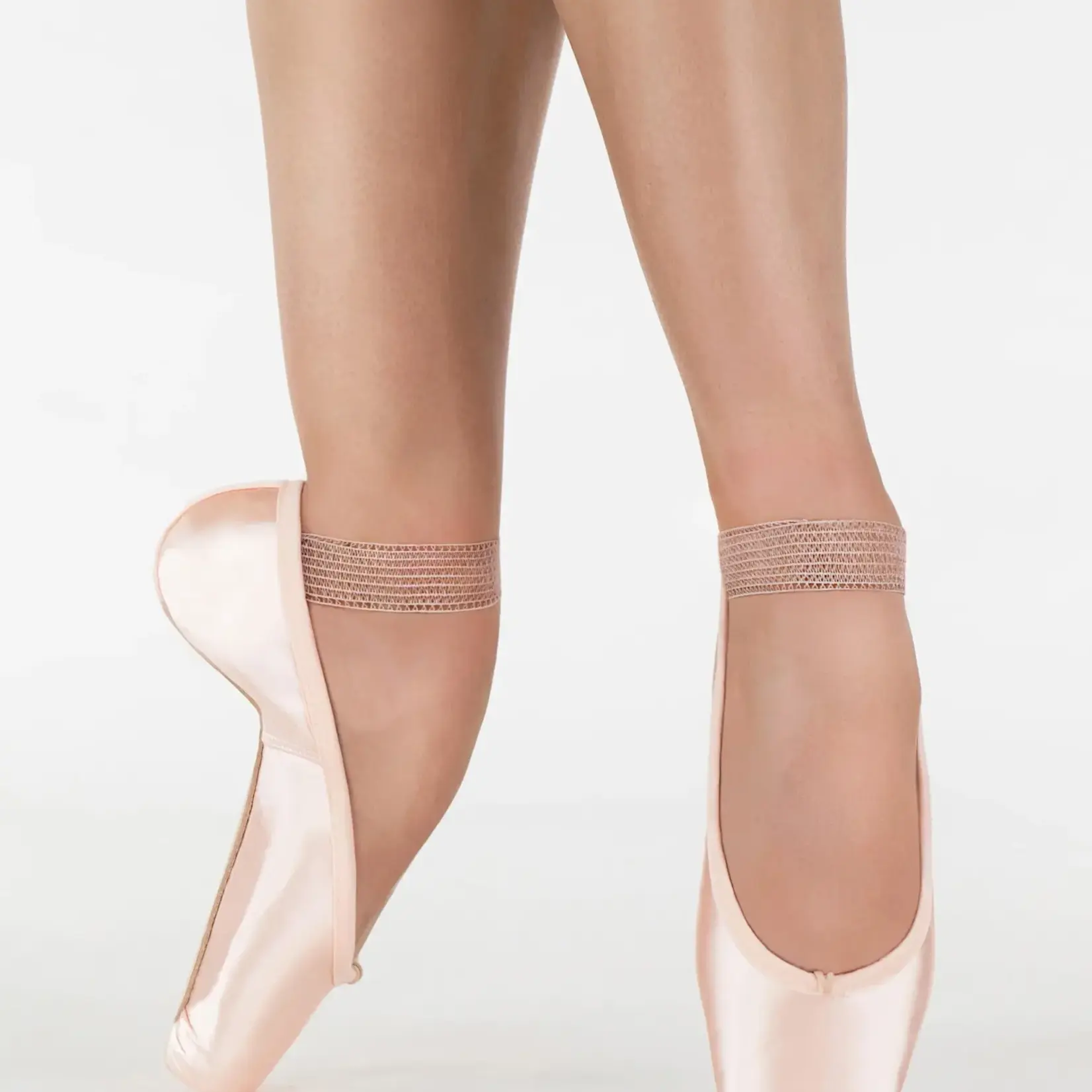 Suffolk Suffolk Signet