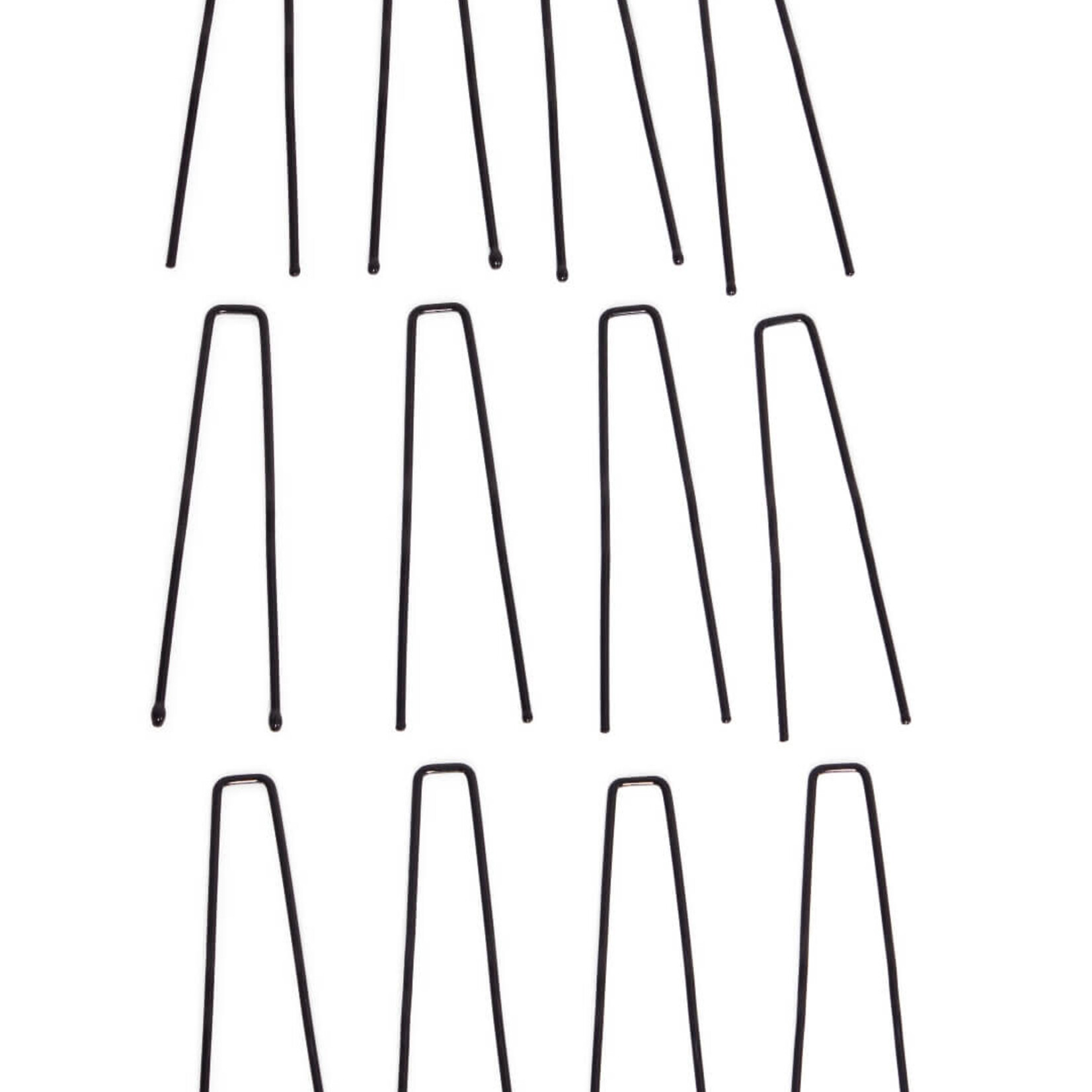 Capezio & Bunheads BH1712- 2.5" Hairpins in Pouch