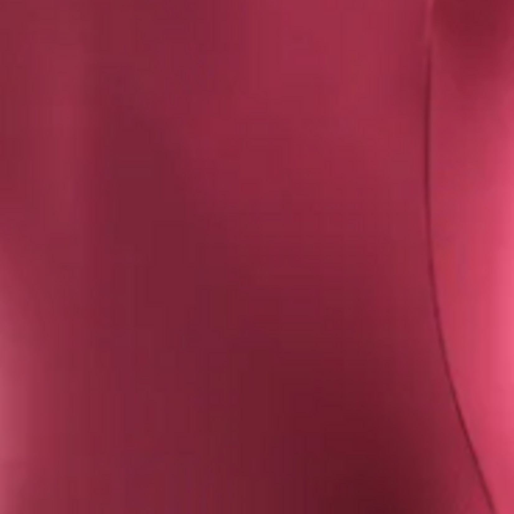 Ballet Rosa Kali Princess Seam Camisole Leo