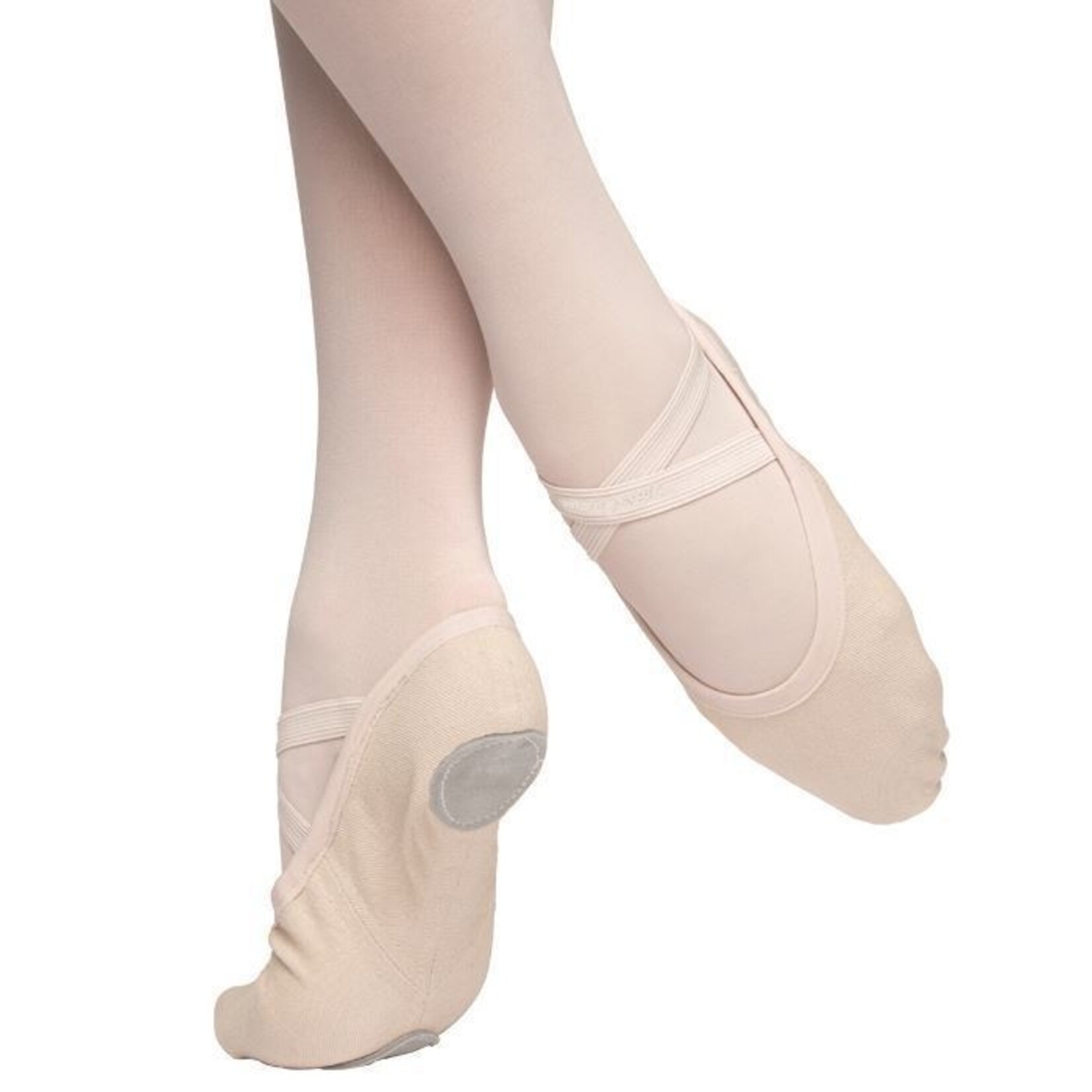 Russian Pointe Vivante- Stretch Canvas