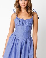 Martina Corset Waist Mini Dress