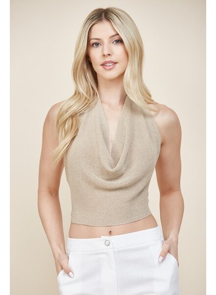 Sand Dune Shimmer Exposed Back Halter Top - Final Sale