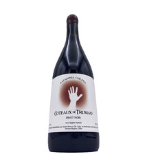 Pinot Noir Cruchon 2019 Coteaux de Trumao