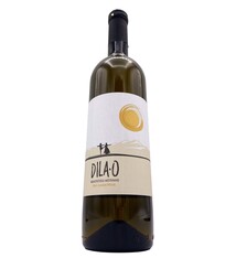 Rkatsiteli Mtsvane Amber Dry 2023 Dila-O
