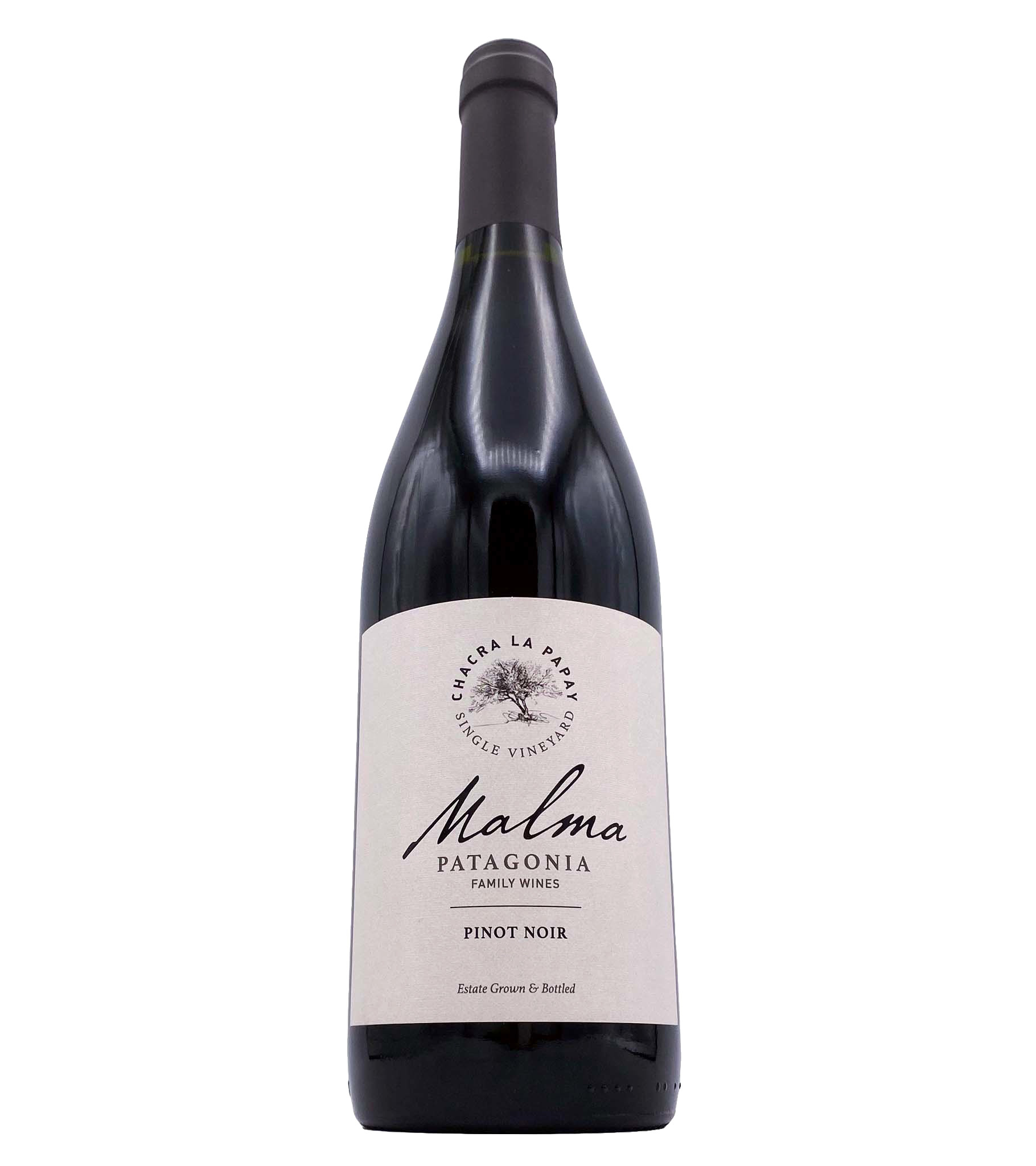 Patagonia Pinot Noir 2024 Bodega Malma