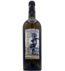 Falanghina Sabbia Vulcanica 2023 Agnanum