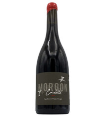 Morgon Corcelette 2023 Thibaut Ducroux