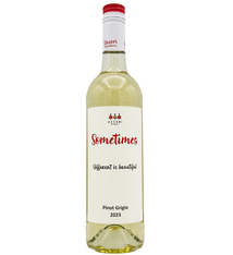 Pinot Grigio Sometimes 2023 Asconi
