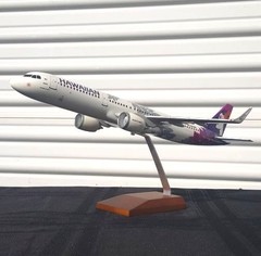 Large Display Models