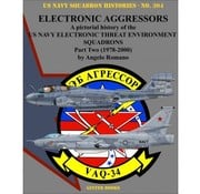 Ginter Books Electronic Aggressors: Pt.2: VAQ34: USNSH#304 SC