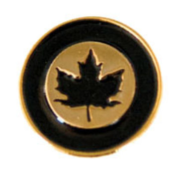 Labusch Skywear Pin RCAF Roundel gold black 3/4"