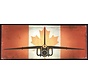 Avro CF105 Arrow Canadian Flag Metal Sign