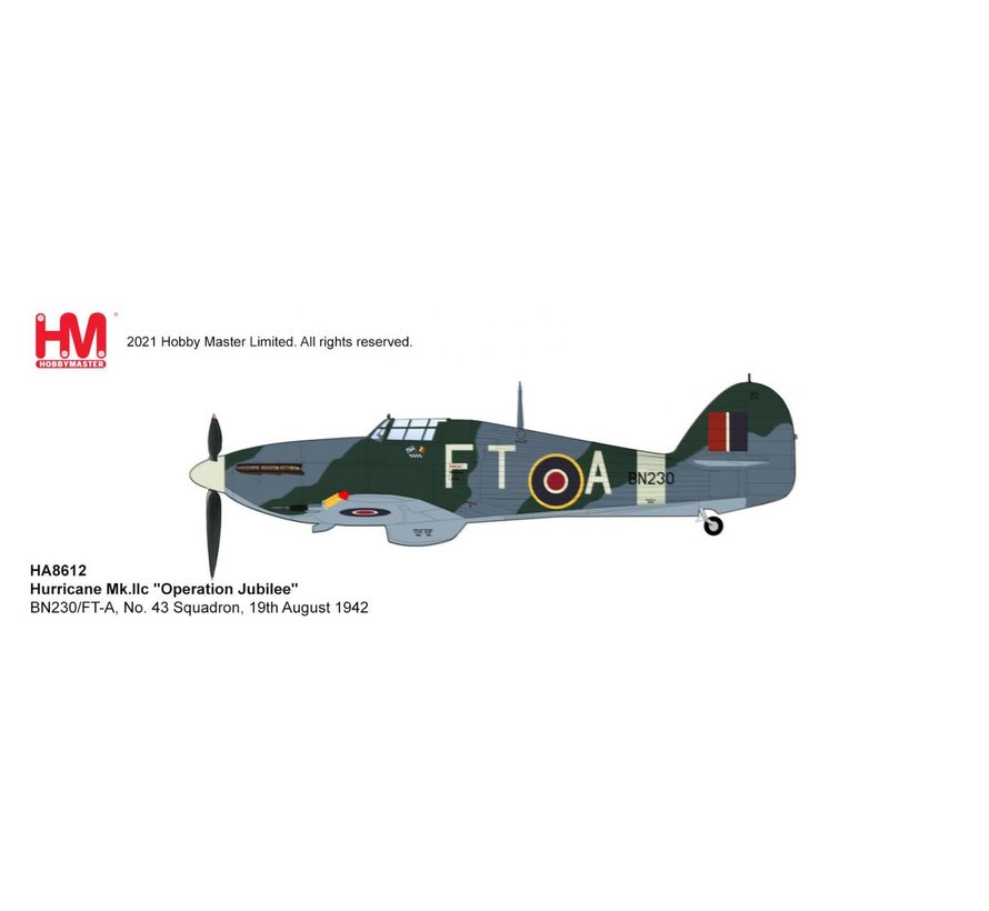 Hawker Hurricane IIc No.43 Squadron RAF BN320/FT-A 1:48