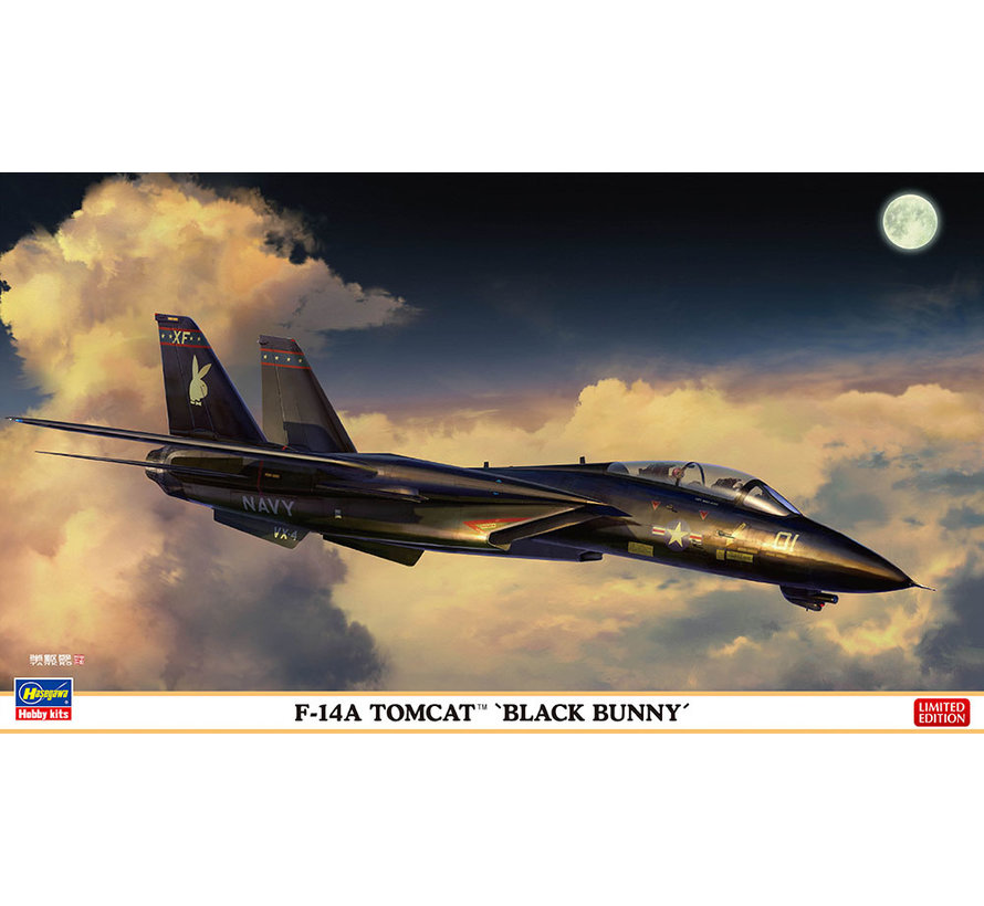 F14A Tomcat 'Black Bunny' 1:72