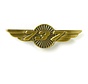 Pin 737 Wings Bronze 1 1/2"