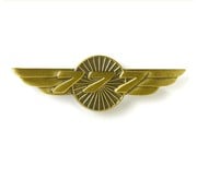 Boeing Store Pin 777 Wings Bronze 1 1/2"