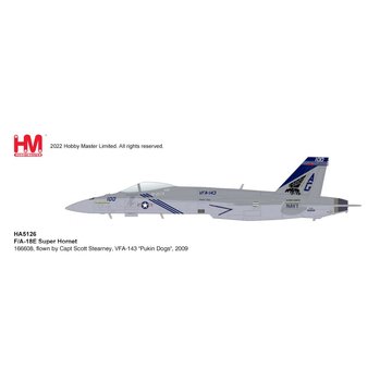Hobby Master FA18E Super Hornet VFA143 Pukin Dogs AG-100 CAG 1:72 with stand