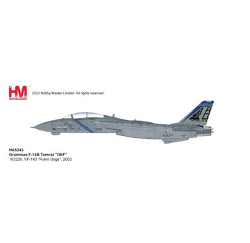 Hobby Master F14B Tomcat VF-143 Pukin Dogs AG-100 CAG OEF 2002 1:72 +Preorder+