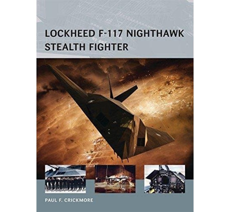 Lockheed F117 Nighthawk: AVG#16 SC +NSI+ ++SALE++