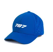 Boeing Store Cap 787 Program