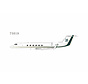 Gulfstream GV LV-IRQ Lionel Messi's private jet No.10 on tail 1:200
