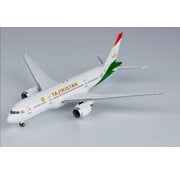 NG Models B787-8 Dreamliner Tajikistan Government EY-001 1:400