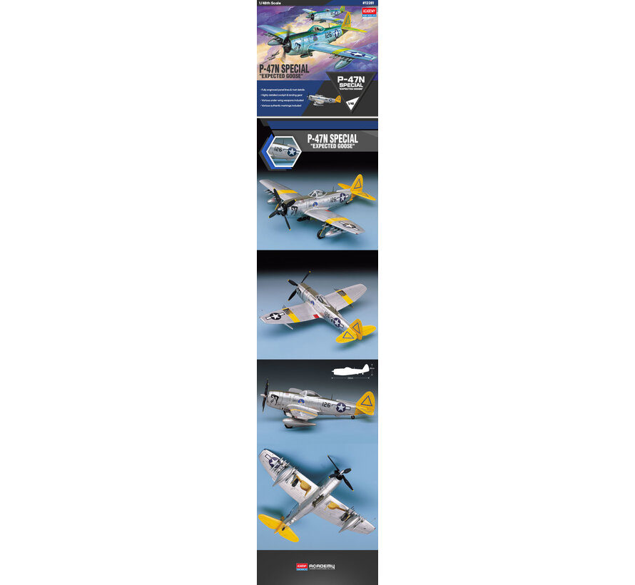 P47N 'Expected Goose' 1:48 [2021 re-issue]