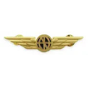 Pin  Aviator Wings Lapel Pin Gold