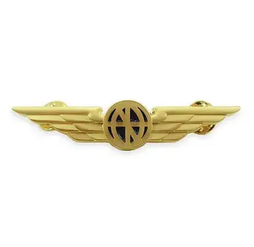 Pin  Aviator Wings Lapel Pin Gold