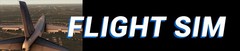 Flight Simulator
