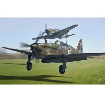 DoraWings Morane-Saulnier MS.406C1 1:48