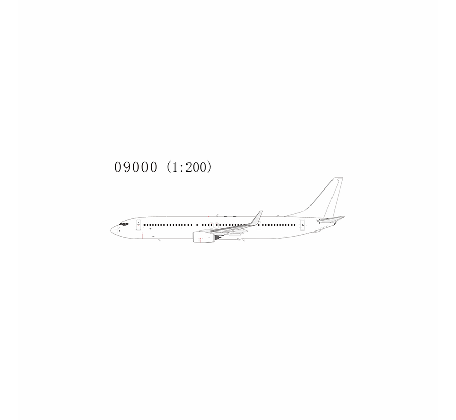 B737-900W Blank Model  1:200 winglets with stand  +Pre-order+