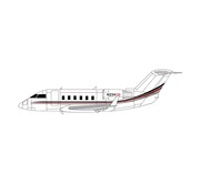 3D Design Deck CL600 Challenger Netjets triple cheatline N234QS 1:400  (3D Printed Resin +New arrival+