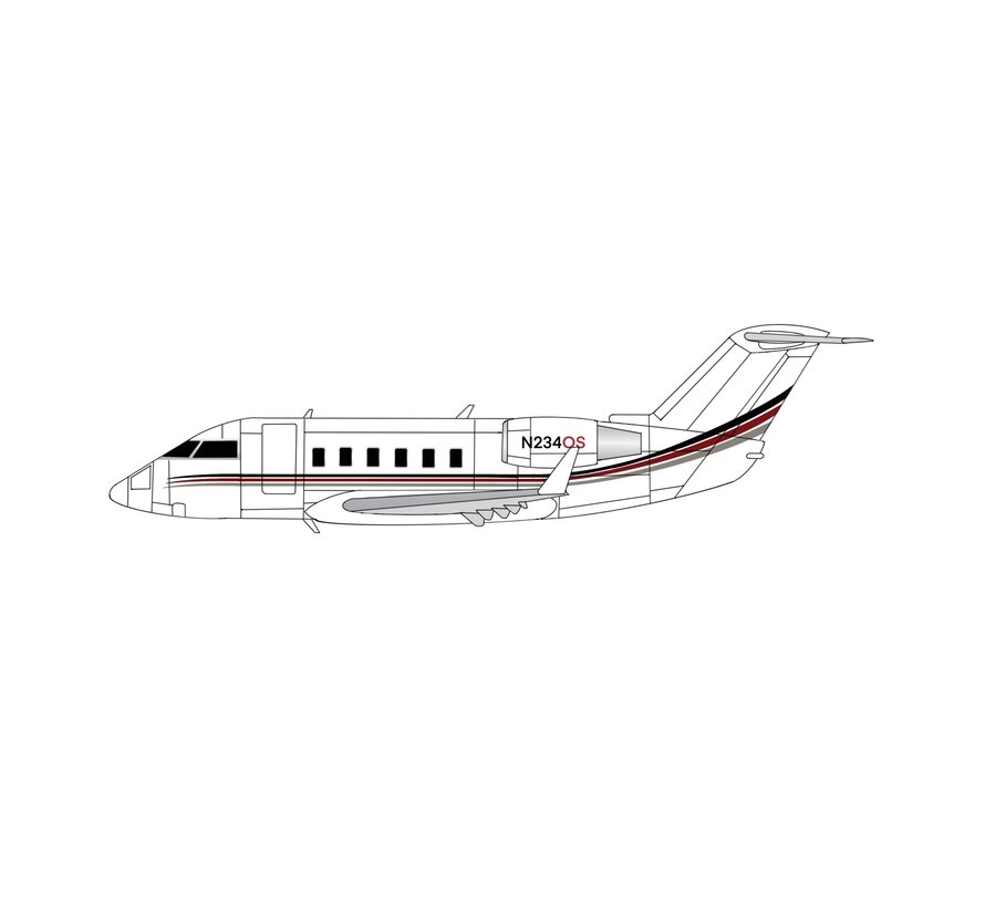 CL600 Challenger Netjets triple cheatline N234QS 1:400  (3D Printed Resin +New arrival+