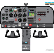 Aviation Training Graphics Cockpit Training Poster Cessna 172S / SP