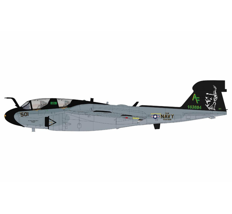 EA-6B Prowler VAQ-209 AF-501 CAG US Navy 163884 2010 1:72 +pre-order+
