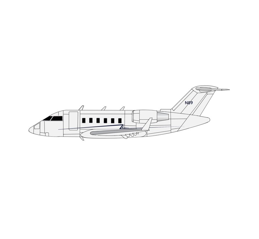 CL605 Challenger FAA Federal Aviation Authority N89 1:400 (3D Printed Resin) +New Arrival+