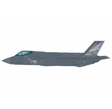 Hobby Master F35A Lightning II 302nd Hikotai JASDF 69-8702 1:72 (with painted RAM panels) +pre-order+