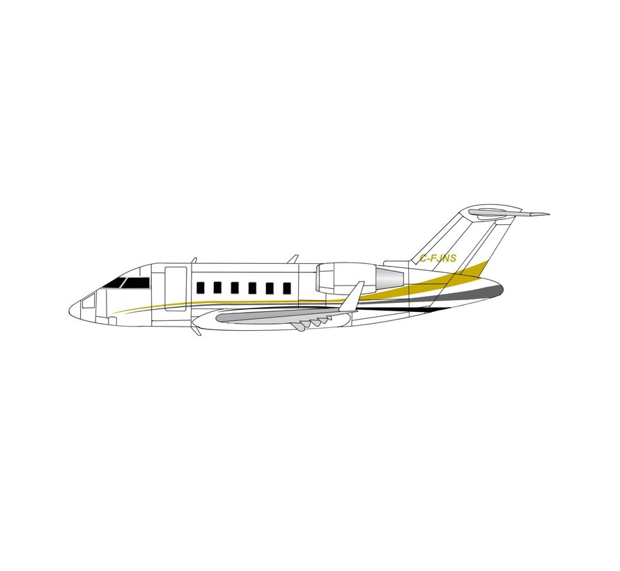 CL605 Challenger Skyservice C-FJNS 1:400 (3D Printed Resin) +New Arrival+