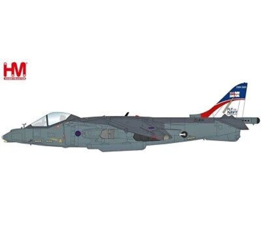Harrier GR.9 ZD406 Royal Navy Strike Wing RAF Station Cottesmore 2009 1:72 +New Arrival+